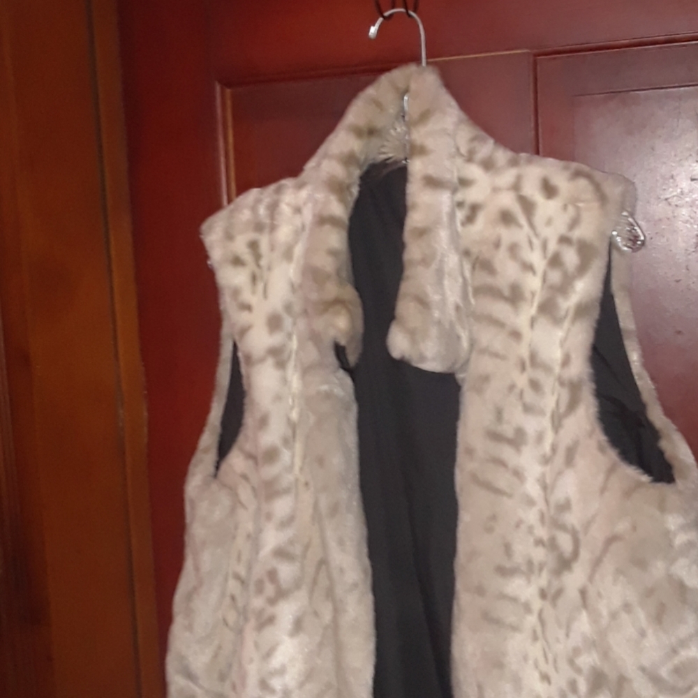 Vest